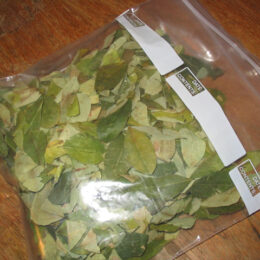 Coca Leaves