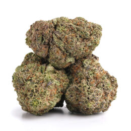 Alternative view of Dior Runtz