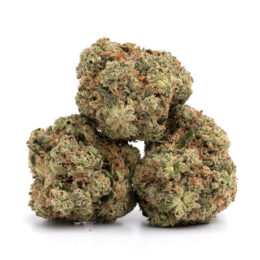 Alternative view of Ghost OG