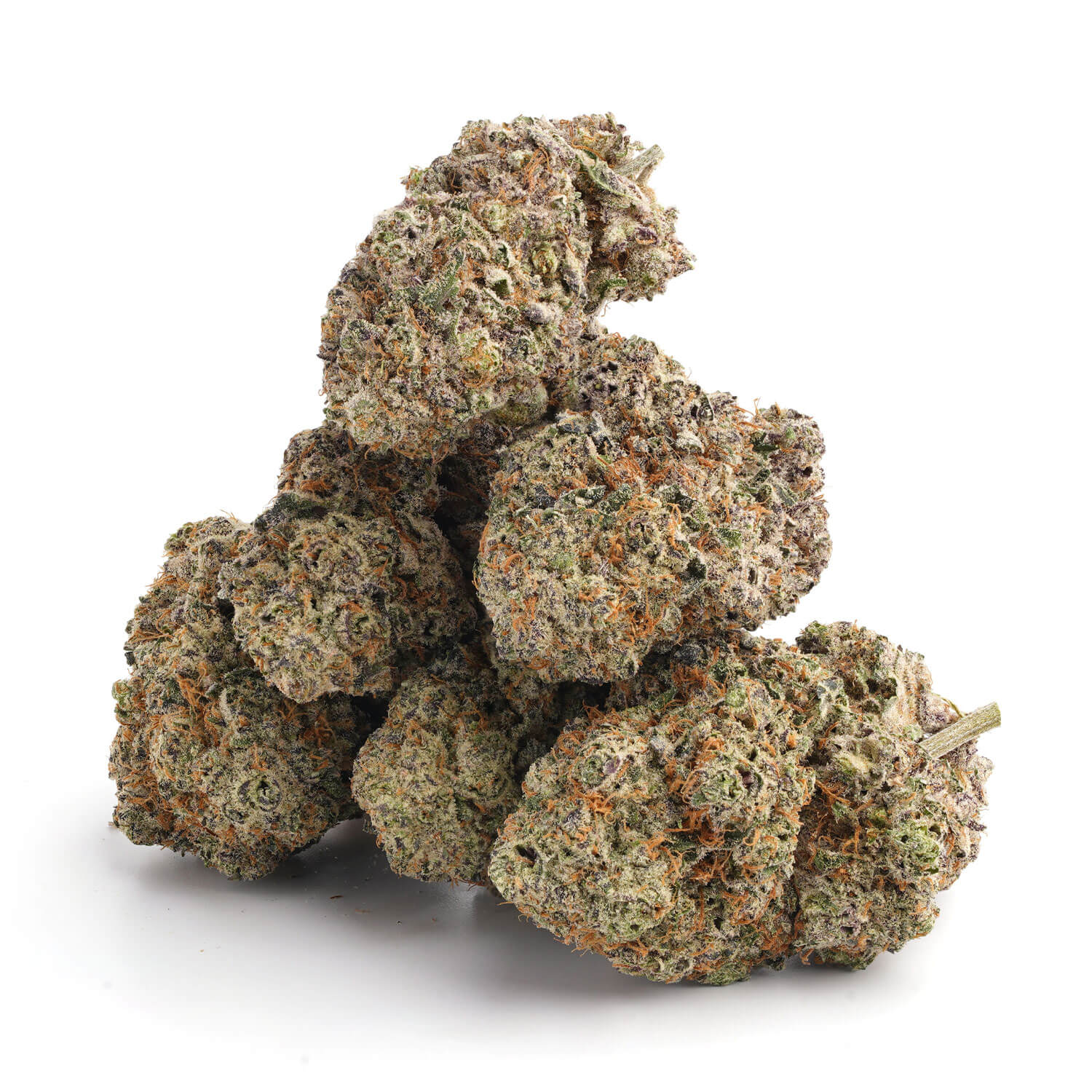 Mike Tyson - Image 4