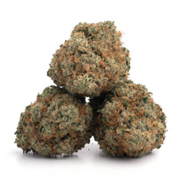 Alternative view of NYC Diesel