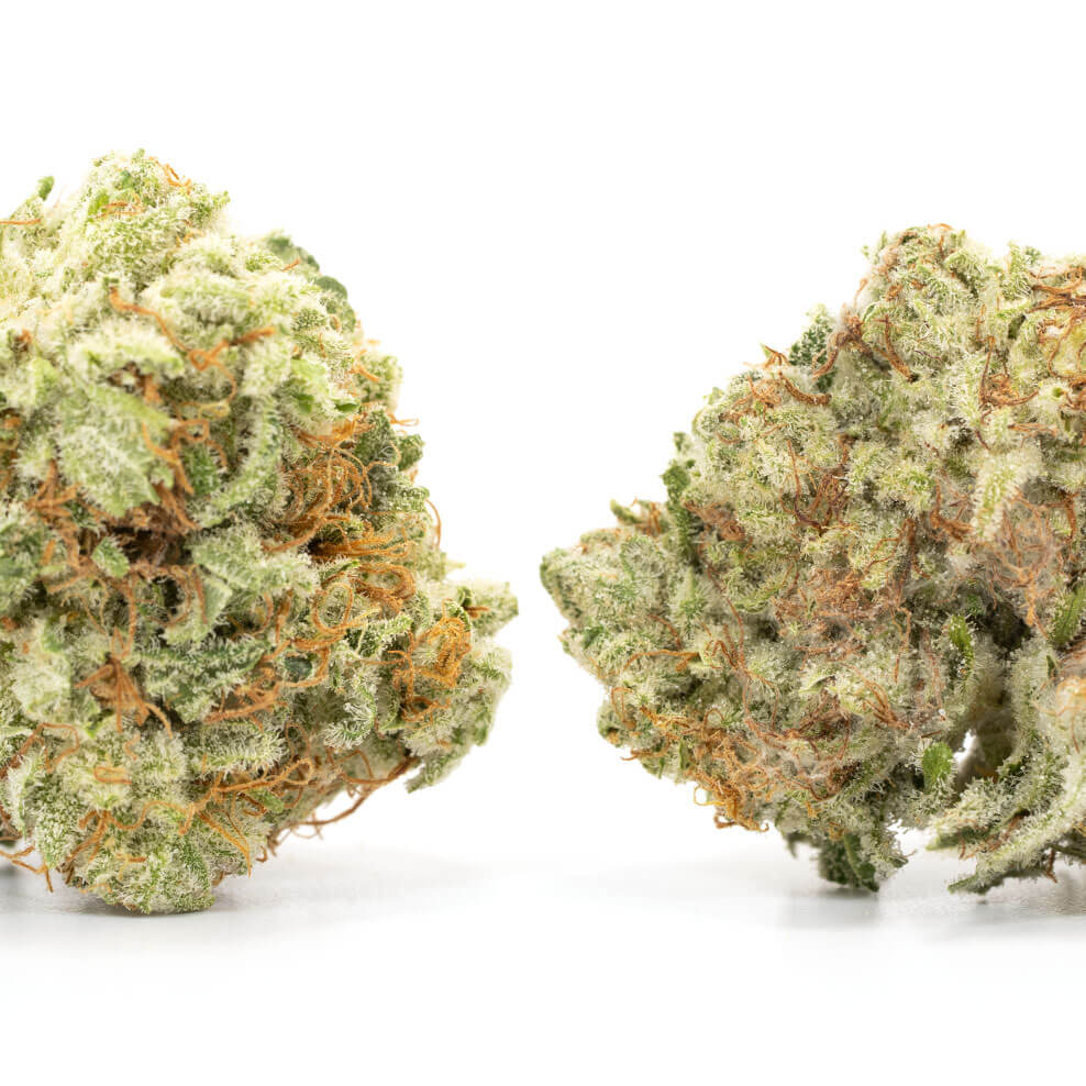 Sour Apple - Image 2