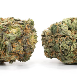 Alternative view of Tom Ford