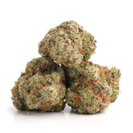 Alternative view of Vanilla Cream Pie