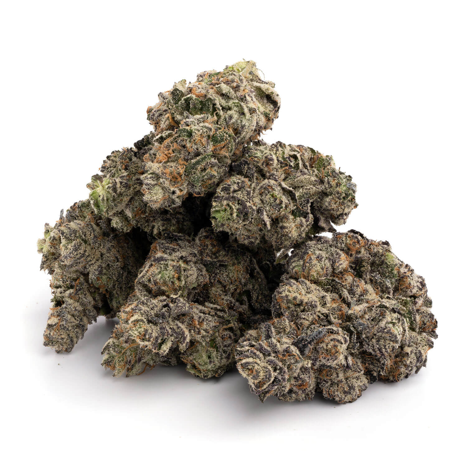 White Truffle - Image 4