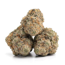 Alternative view of Yoda OG